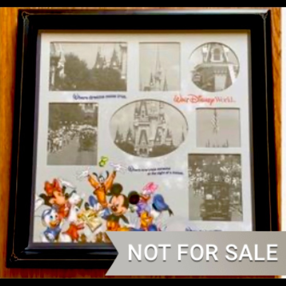 ISO ( in search of) This particular Disney frame